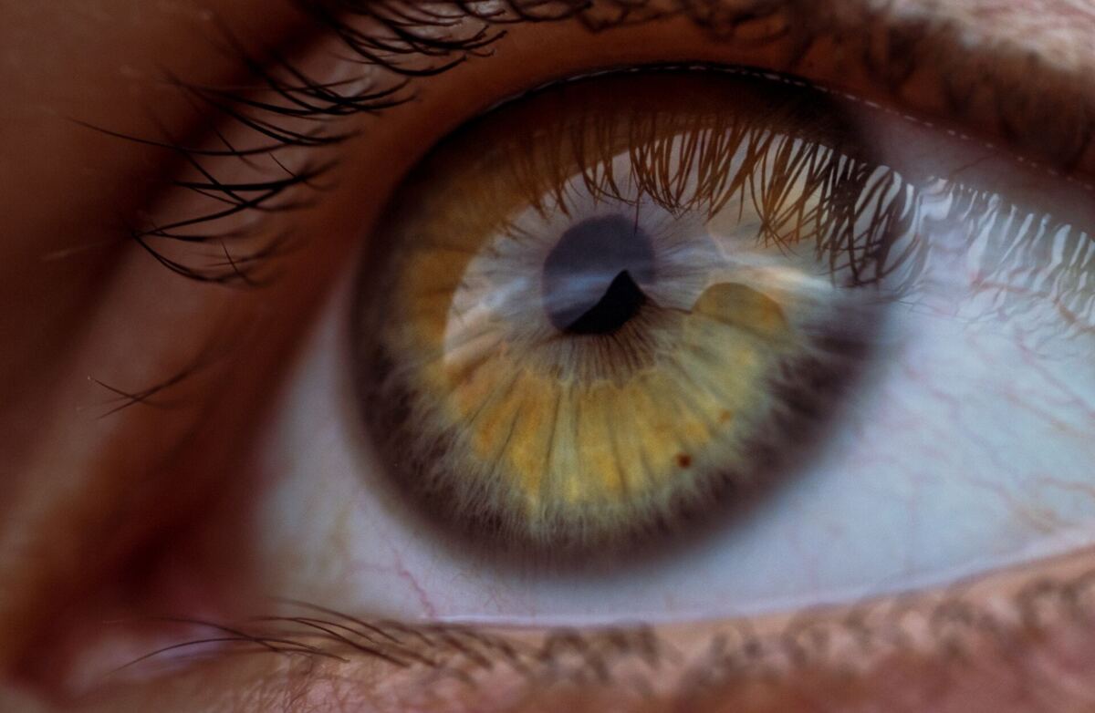 een geel/groen oog van dichbij